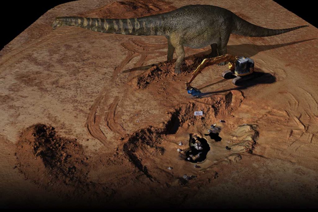 Cooper- Largest Dinosaur Species identified in Australia 139 scan collections and digitized cooper